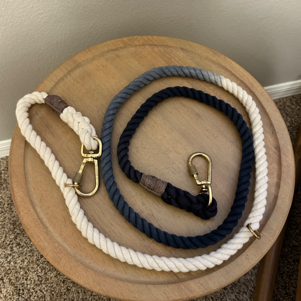 Found My Animal Blue Ombré Dog Leash